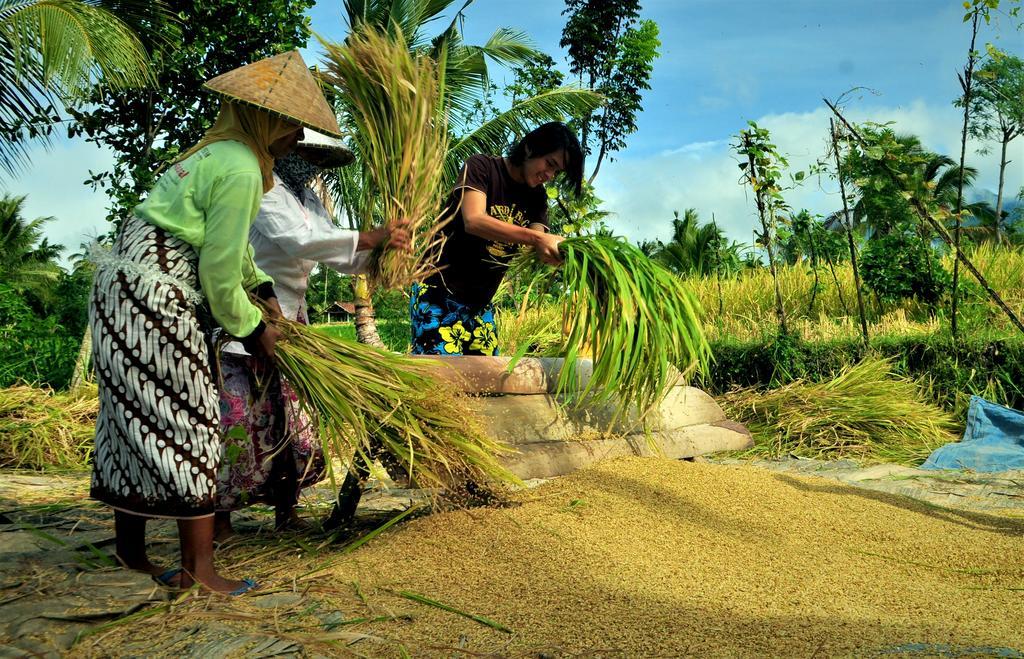 Kembang Kuning Cottages Tetebatu Exteriér fotografie