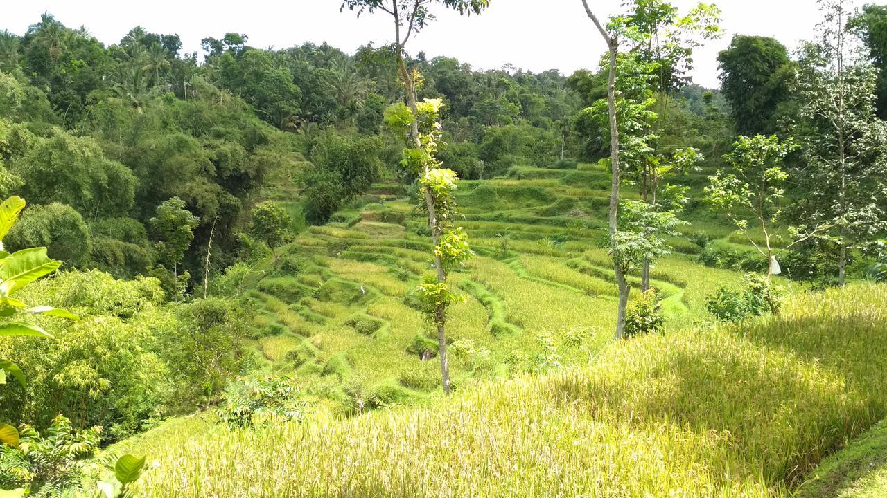 Kembang Kuning Cottages Tetebatu Exteriér fotografie